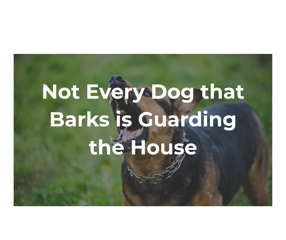 An Uncomfortable Letter About Relationships: Not Every Bark Is a Warning