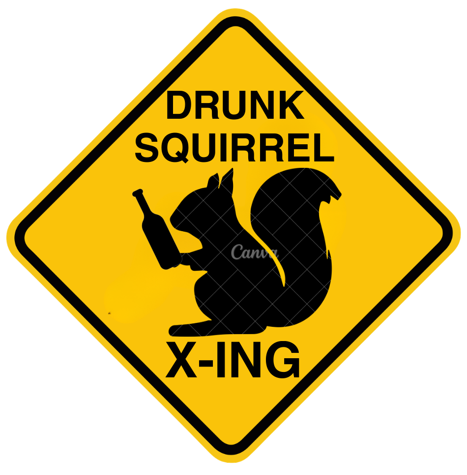 Healing Isn’t Linear. It’s More Like a Drunk Squirrel Crossing the Road
